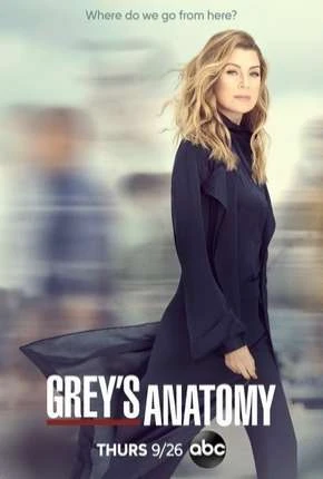 A Anatomia de Grey – Greys Anatomy – 16ª Temporada Dublada e Dual Áudio Torrent 720p 1080p – Download