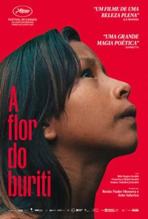 A Flor do Buriti Nacional Torrent 1080p – Download