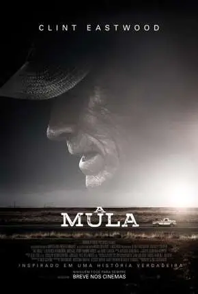A Mula Dublado e Dual Áudio Torrent BluRay 720p 4K 2160p 1080p – Download [2019]