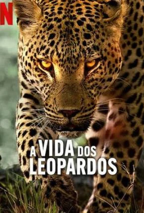 A Vida dos Leopardos Dublado e Dual Áudio Torrent 1080p – Download