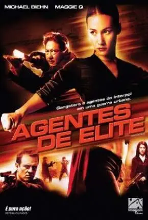 Agentes de Elite – DVD-R Dublado e Dual Áudio Torrent DVDRip DVD-R 480p – Download [2005]