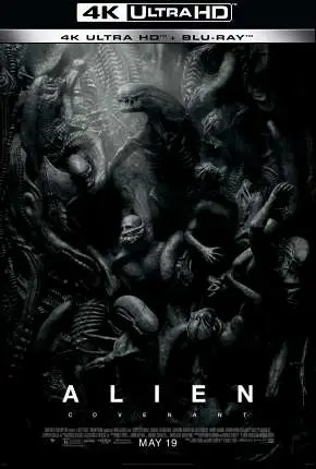 Alien – Covenant – 4K Dublado e Dual Áudio Torrent BluRay 4K 2160p – Download [2017]