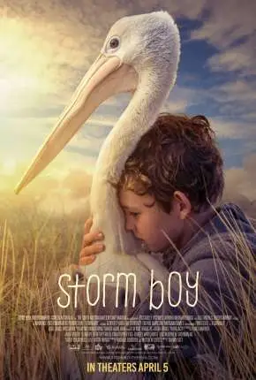 Amigos Para Sempre - Storm Boy Dublado e Dual Áudio Torrent BluRay 1080p - Download