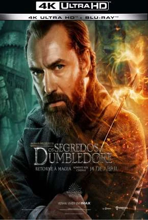 Animais Fantásticos - Os Segredos de Dumbledore 4K Dublado e Dual Áudio Torrent 720p 4K 1080p - Download