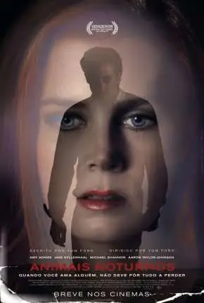 Animais Noturnos - Nocturnal Animals Dublado e Dual Áudio Torrent BluRay 720p 1080p - Download