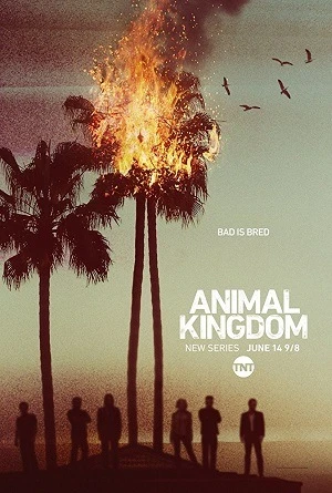 Animal Kingdom – 1ª Temporada Dublada e Dual Áudio Torrent 720p – Download