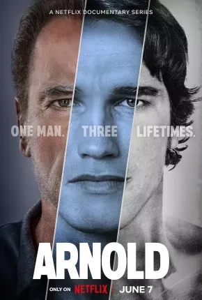 Arnold Dublada e Dual Áudio Torrent 720p 1080p – Download