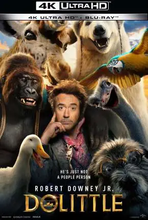 As Aventuras do Dr. Dolittle 4K Dublado e Dual Áudio Torrent BluRay 4K 1080p – Download [2020]