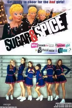 Atraídas Pelo Perigo Dublado e Dual Áudio Torrent 720p 1080p – Download [2001]