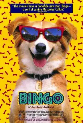 Bingo, Esperto pra Cachorro Dublado Torrent 720p – Download [1991]