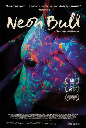 Boi Neon Nacional Nacional Torrent 1080p – Download [2016]