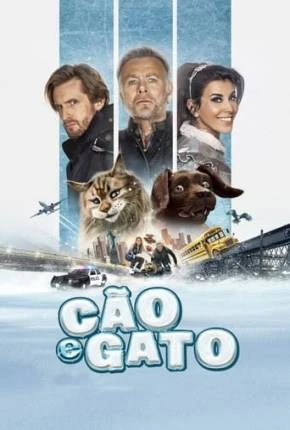 Cão e Gato Dublado e Dual Áudio Torrent 1080p – Download