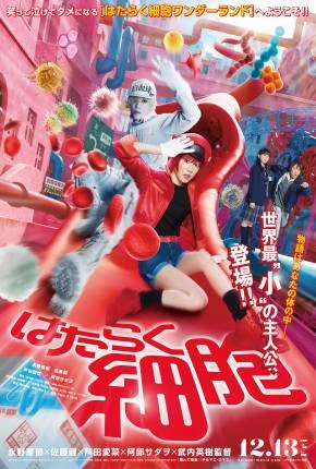 Cells at Work! Dublado e Dual Áudio Torrent 1080p – Download