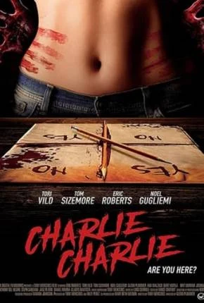 Charlie, Você Está Aí? Dublado e Dual Áudio Torrent 1080p – Download