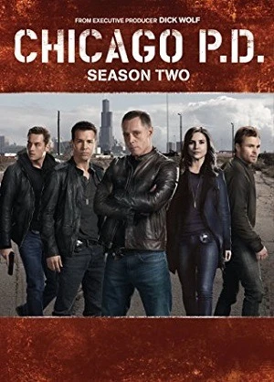 Chicago P.D. Distrito 21 – 2ª Temporada Legendada  Torrent 720p – Download