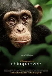Chimpanzé Dublado Torrent 720p – Download [2012]