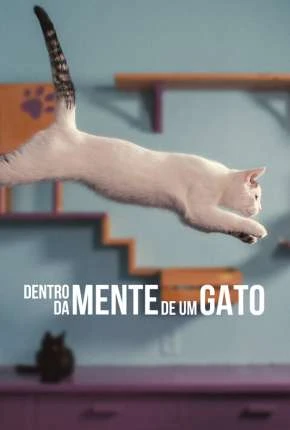 Dentro da Mente de um Gato - Legendado  Torrent 1080p - Download