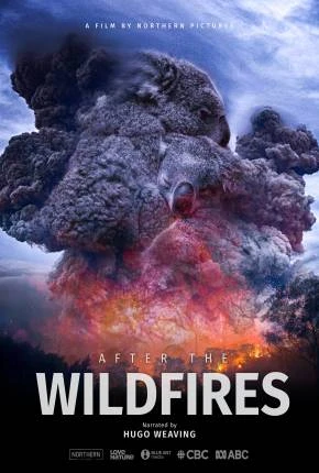 Depois dos Incêndios Florestais Dublado e Dual Áudio Torrent 1080p – Download