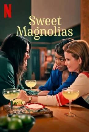 Doces Magnólias – 1ª Temporada Completa Dublada e Dual Áudio Torrent 720p – Download