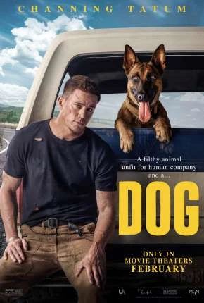 Dog - A Aventura de Uma Vida Dublado e Dual Áudio Torrent BluRay 1080p - Download