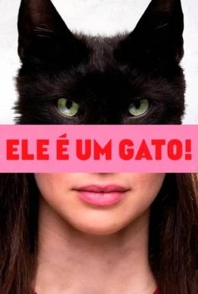 Ele é Um Gato! Dublado Torrent 1080p – Download