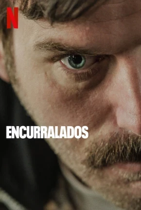 Encurralados - Boga Boga Dublado e Dual Áudio Torrent 1080p - Download