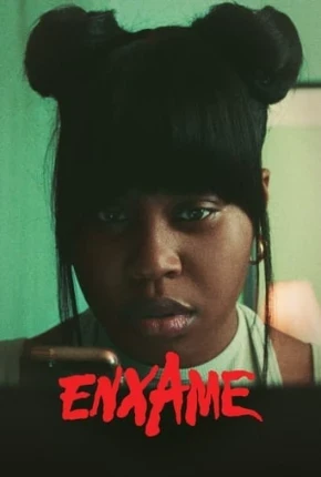 Enxame – 1ª Temporada Legendada  Torrent 720p 4K 480p 1080p – Download