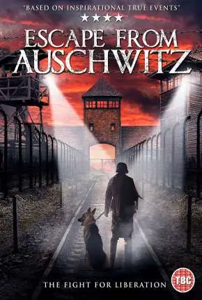 Fuga de Auschwitz Dublado e Dual Áudio Torrent 1080p – Download [2020]