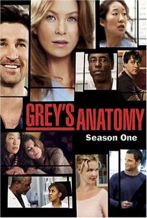 Greys Anatomy – 1ª Temporada – Completa Dublada e Dual Áudio Torrent 720p 1080p – Download