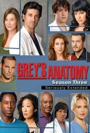 Greys Anatomy – 3ª Temporada – Completa Dublada e Dual Áudio Torrent 720p 1080p – Download
