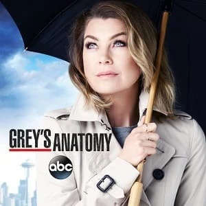Greys Anatomy – A Anatomia de Grey 12ª Temporada Completa Dublada e Dual Áudio Torrent 720p – Download