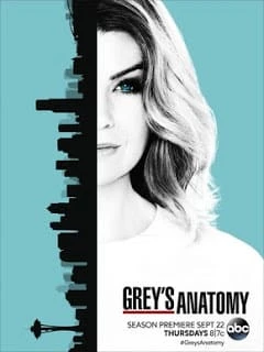 Greys Anatomy – A Anatomia de Grey 13ª Temporada Completa Dublada e Dual Áudio Torrent 720p – Download