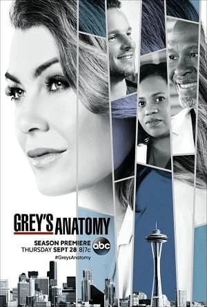 Greys Anatomy – A Anatomia de Grey 14ª Temporada Completa Dublada e Dual Áudio Torrent 720p – Download