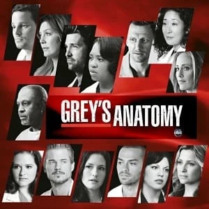 Greys Anatomy – A Anatomia de Grey  7ª Temporada Dublada e Dual Áudio Torrent 720p – Download