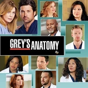 Greys Anatomy – A Anatomia de Grey 9ª Temporada Dublada e Dual Áudio Torrent 720p – Download