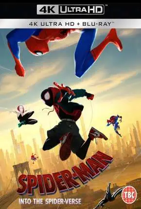 Homem-Aranha - No Aranhaverso 4K Legendado  Torrent BluRay 4K - Download