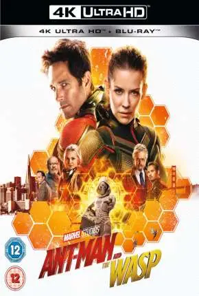 Homem-Formiga e a Vespa 4K Dublado e Dual Áudio Torrent BluRay 720p 4K 1080p – Download [2019]