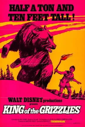 O Gigantesco Rei das Florestas / King of the Grizzlies – Legendado   DVDRip DVD-R 480p – Download [1970]