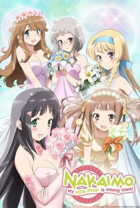 Kono Naka ni Hitori Imouto ga Iru – Legendado  Torrent BluRay 720p – Download
