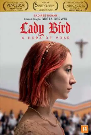 Lady Bird - A Hora de Voar Dublado e Dual Áudio Torrent BluRay 720p 1080p - Download