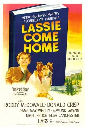 Lassie – A Força do Coração Dublado e Dual Áudio Torrent 1080p – Download