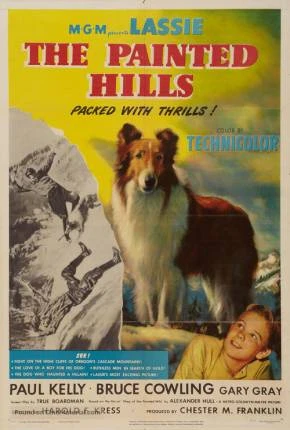Lassie – Heróis da Montanha Dublado e Dual Áudio Torrent DVDRip DVD-R 720p 480p – Download