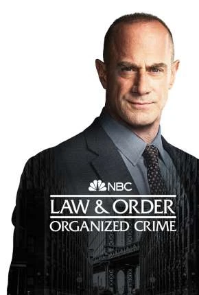 Lei e Ordem – Crime Organizado – 2ª Temporada Legendada  Torrent 720p 1080p – Download