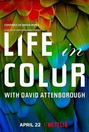 Life In Colour – 1ª Temporada Completa Dublada e Dual Áudio Torrent 1080p – Download