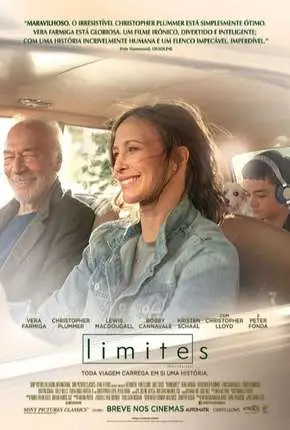 Limites Dublado e Dual Áudio Torrent 1080p – Download [2019]