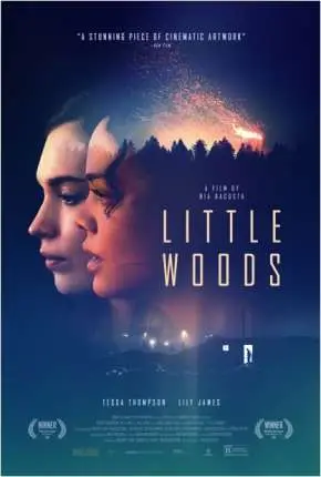 Little Woods – Legendado  Torrent 720p 1080p – Download [2019]
