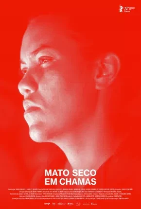 Mato Seco em Chamas Nacional Torrent 1080p – Download