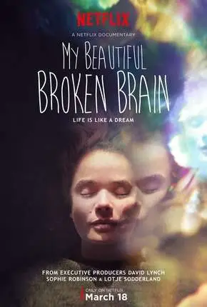 My Beautiful Broken Brain Dublado e Dual Áudio Torrent 720p 1080p – Download [2016]