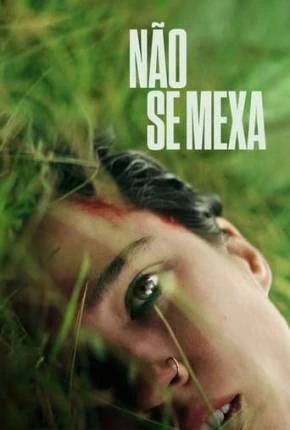 Não Se Mexa Dublado e Dual Áudio Torrent 1080p – Download
