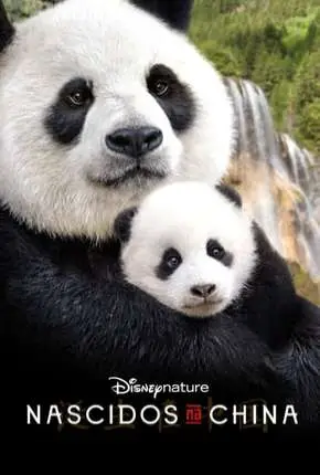 Nascidos na China – Legendado  Torrent BluRay 720p 1080p – Download [2016]